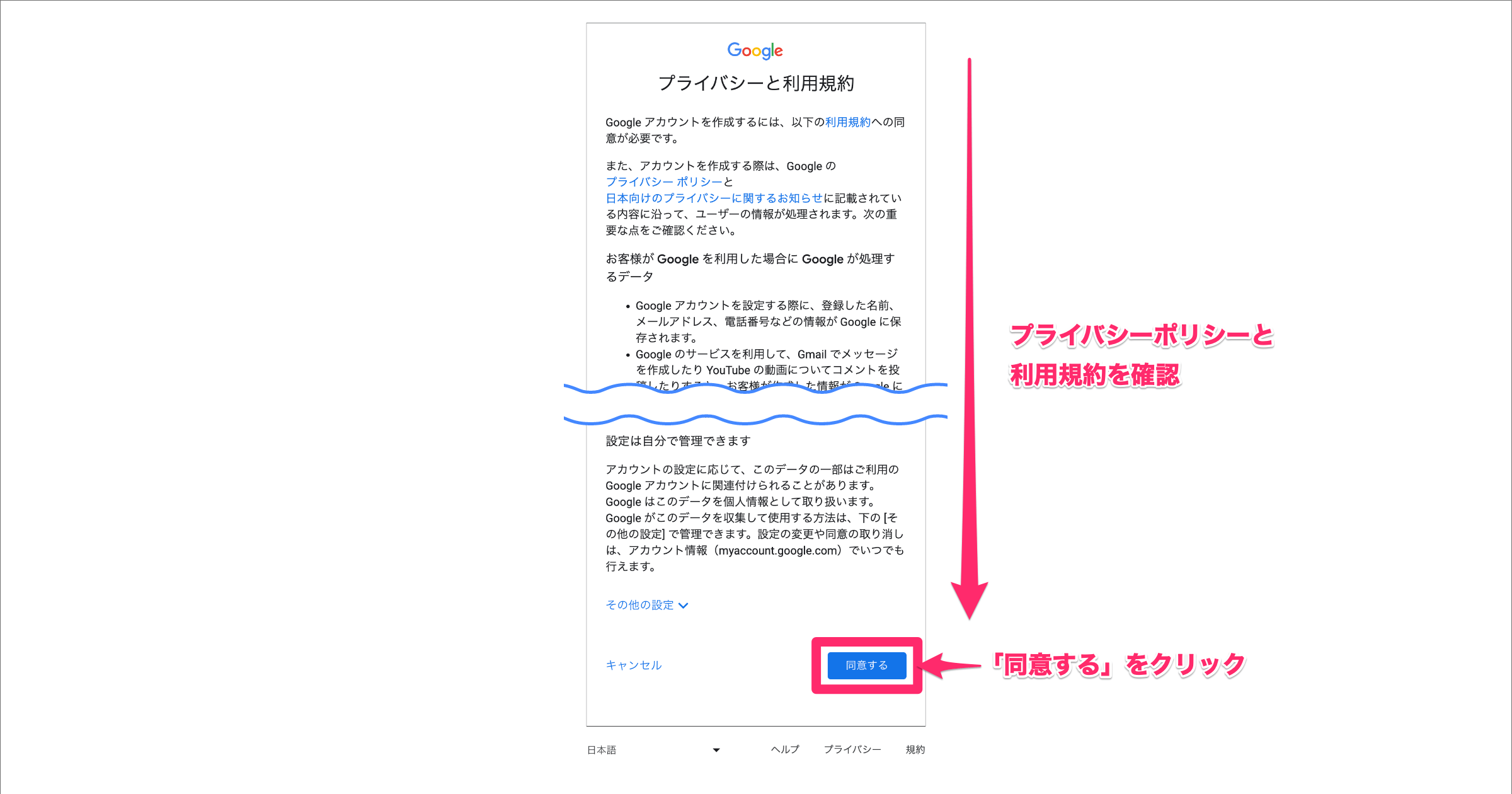 プライバシーと利用規約の確認